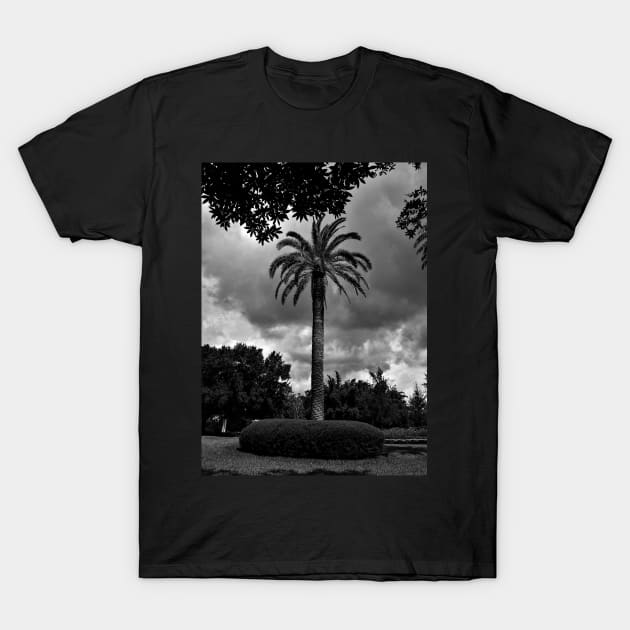 Tree Noir T-Shirt by TheWeirdPhotographer